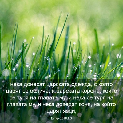 Picture 03 - Естир 6:8 BULG - нека донесат царската - Bible Verse Picture