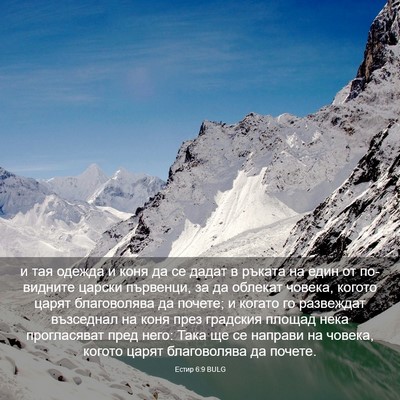 Picture 03 - Естир 6:9 BULG - и тая одежда и коня да се - Bible Verse Picture
