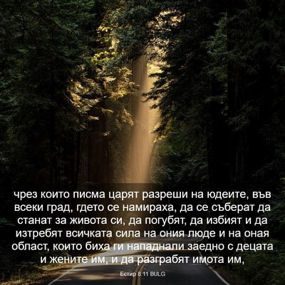 Picture 03 - Естир 8:11 BULG - чрез които писма царят - Bible Verse Picture