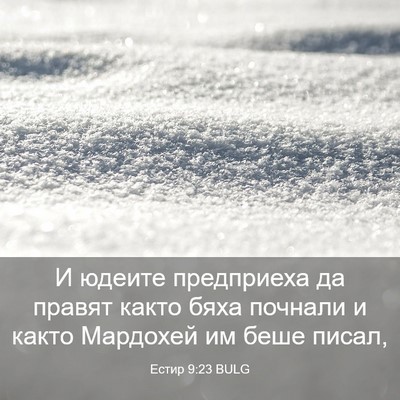 Picture 03 - Естир 9:23 BULG - И юдеите предприеха да - Bible Verse Picture