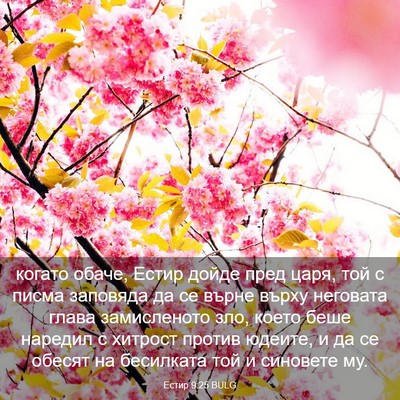 Picture 03 - Естир 9:25 BULG - когато обаче, Естир дойде - Bible Verse Picture