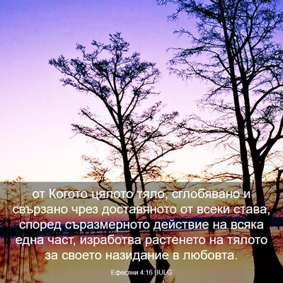 Picture 03 - Ефесяни 4:16 BULG - от Когото цялото тяло, - Bible Verse Picture