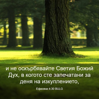 Picture 03 - Ефесяни 4:30 BULG - и не оскърбявайте Светия - Bible Verse Picture