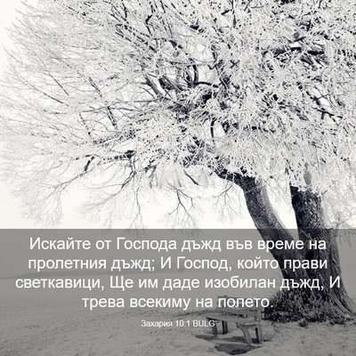 Picture 03 - Захария 10:1 BULG - Искайте от Господа дъжд - Bible Verse Picture