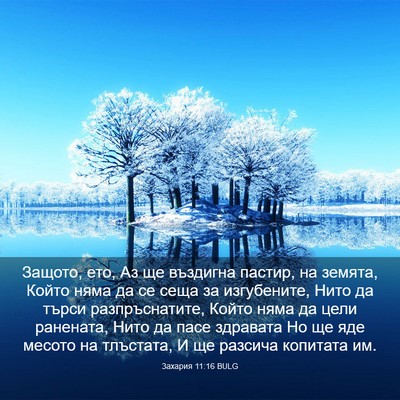 Picture 03 - Захария 11:16 BULG - Защото, ето, Аз ще въздигна - Bible Verse Picture