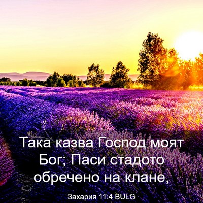 Picture 03 - Захария 11:4 BULG - Така казва Господ моят Бог; - Bible Verse Picture