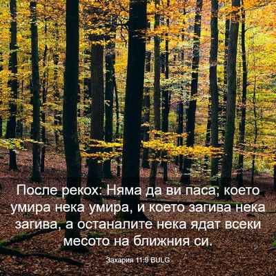 Picture 03 - Захария 11:9 BULG - После рекох: Няма да ви - Bible Verse Picture