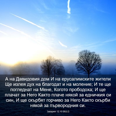 Picture 03 - Захария 12:10 BULG - А на Давидовия дом И на - Bible Verse Picture