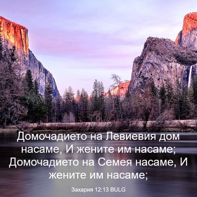 Picture 03 - Захария 12:13 BULG - Домочадието на Левиевия - Bible Verse Picture