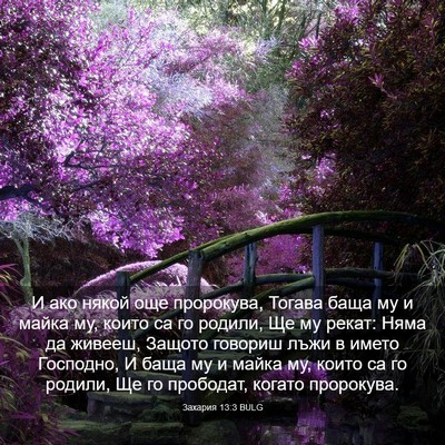 Picture 03 - Захария 13:3 BULG - И ако някой още пророкува, - Bible Verse Picture