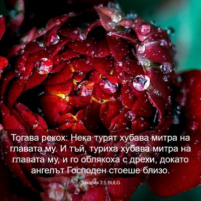 Picture 03 - Захария 3:5 BULG - Тогава рекох: Нека турят - Bible Verse Picture
