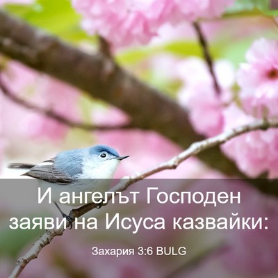 Picture 03 - Захария 3:6 BULG - И ангелът Господен заяви - Bible Verse Picture