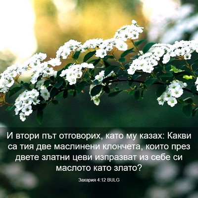 Picture 03 - Захария 4:12 BULG - И втори път отговорих, като - Bible Verse Picture