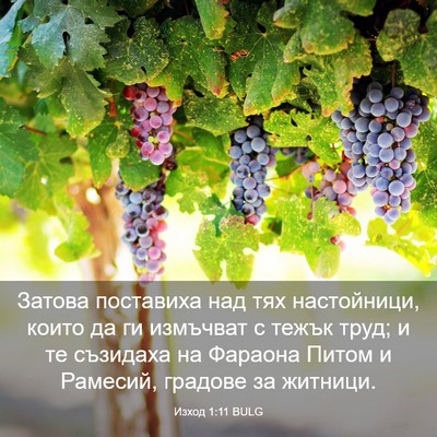 Picture 03 - Изход 1:11 BULG - Затова поставиха над тях - Bible Verse Picture