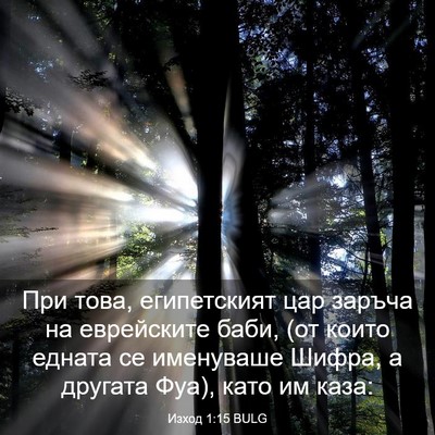 Picture 03 - Изход 1:15 BULG - При това, египетският цар - Bible Verse Picture