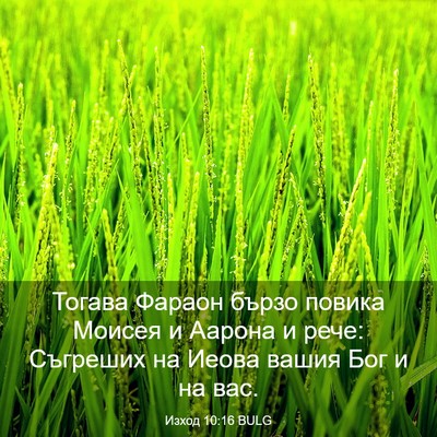 Picture 03 - Изход 10:16 BULG - Тогава Фараон бързо повика - Bible Verse Picture