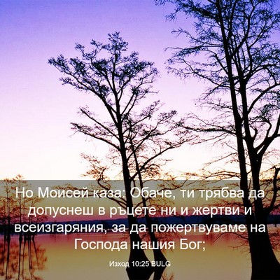 Picture 03 - Изход 10:25 BULG - Но Моисей каза: Обаче, ти - Bible Verse Picture