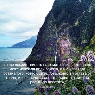 Picture 03 - Изход 10:5 BULG - те ще покрият лицето на - Bible Verse Picture