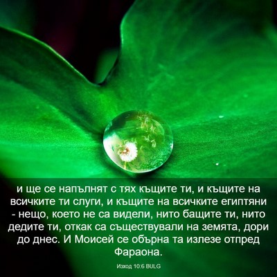 Picture 03 - Изход 10:6 BULG - и ще се напълнят с тях - Bible Verse Picture