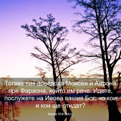 Picture 03 - Изход 10:8 BULG - Тогава пак доведоха Моисея - Bible Verse Picture