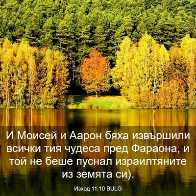 Picture 03 - Изход 11:10 BULG - И Моисей и Аарон бяха - Bible Verse Picture