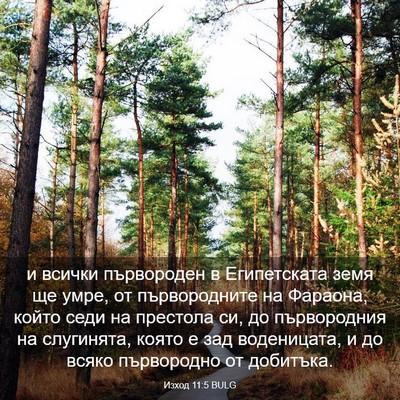 Picture 03 - Изход 11:5 BULG - и всички първороден в - Bible Verse Picture