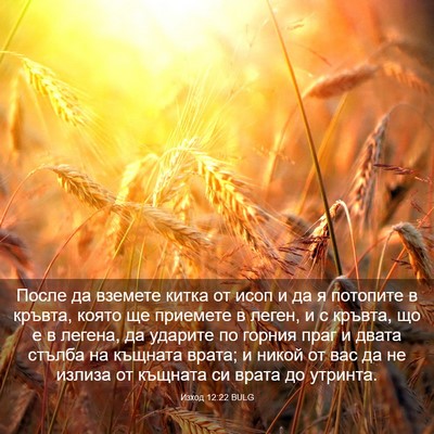 Picture 03 - Изход 12:22 BULG - После да вземете китка от - Bible Verse Picture