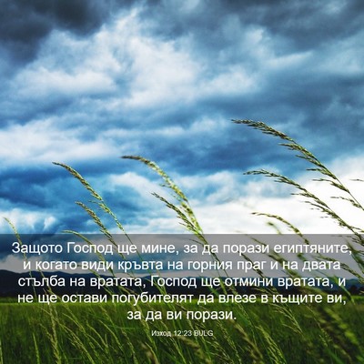 Picture 03 - Изход 12:23 BULG - Защото Господ ще мине, за - Bible Verse Picture