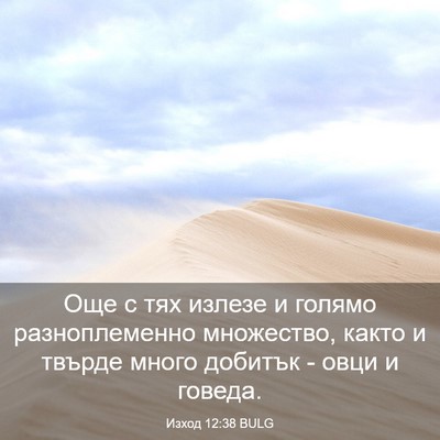 Picture 03 - Изход 12:38 BULG - Още с тях излезе и голямо - Bible Verse Picture