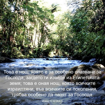 Picture 03 - Изход 12:42 BULG - Това е нощ, която е за - Bible Verse Picture