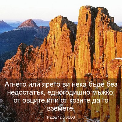 Picture 03 - Изход 12:5 BULG - Агнето или ярето ви нека - Bible Verse Picture