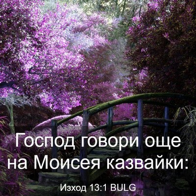 Picture 03 - Изход 13:1 BULG - Господ говори още на - Bible Verse Picture