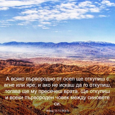 Picture 03 - Изход 13:13 BULG - А всяко първородно от осел - Bible Verse Picture