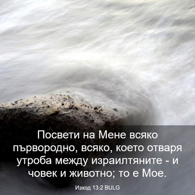 Picture 03 - Изход 13:2 BULG - Посвети на Мене всяко - Bible Verse Picture
