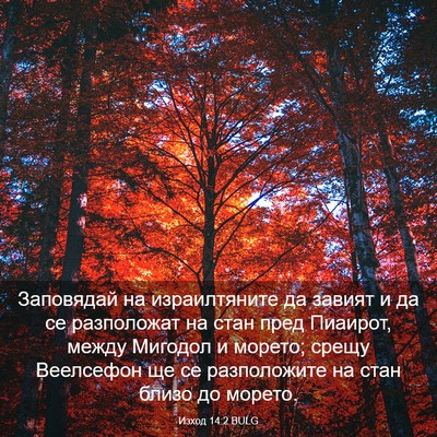 Picture 03 - Изход 14:2 BULG - Заповядай на израилтяните - Bible Verse Picture