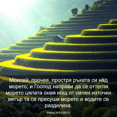 Picture 03 - Изход 14:21 BULG - Моисей, прочее, простря - Bible Verse Picture