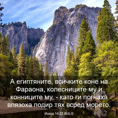 Picture 03 - Изход 14:23 BULG - А египтяните, всичките - Bible Verse Picture