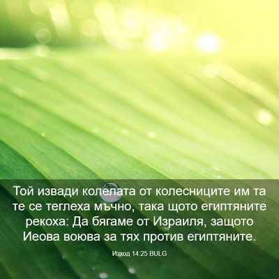 Picture 03 - Изход 14:25 BULG - Той извади колелата от - Bible Verse Picture