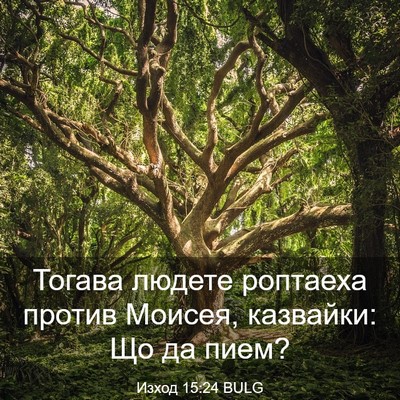 Picture 03 - Изход 15:24 BULG - Тогава людете роптаеха - Bible Verse Picture