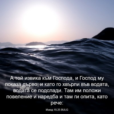 Picture 03 - Изход 15:25 BULG - А той извика към Господа, и - Bible Verse Picture