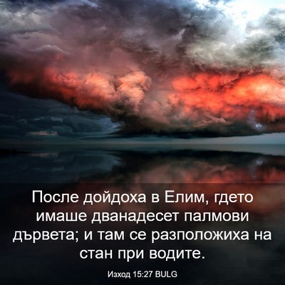 Picture 03 - Изход 15:27 BULG - После дойдоха в Елим, гдето - Bible Verse Picture