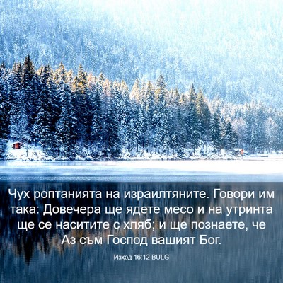 Picture 03 - Изход 16:12 BULG - Чух роптанията на - Bible Verse Picture