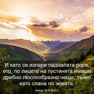 Picture 03 - Изход 16:14 BULG - И като се изпари падналата - Bible Verse Picture