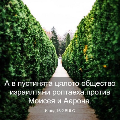 Picture 03 - Изход 16:2 BULG - А в пустинята цялото - Bible Verse Picture