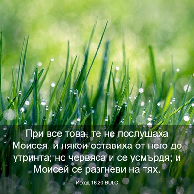 Picture 03 - Изход 16:20 BULG - При все това, те не - Bible Verse Picture