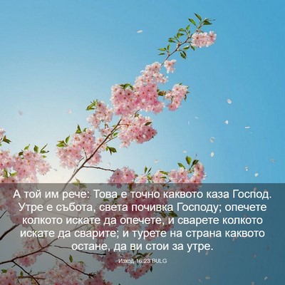 Picture 03 - Изход 16:23 BULG - А той им рече: Това е точно - Bible Verse Picture