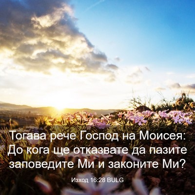 Picture 03 - Изход 16:28 BULG - Тогава рече Господ на - Bible Verse Picture