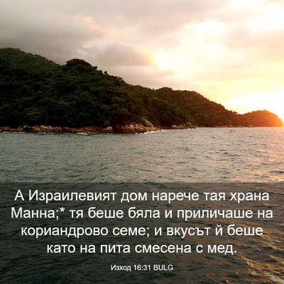 Picture 03 - Изход 16:31 BULG - А Израилевият дом нарече - Bible Verse Picture