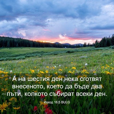 Picture 03 - Изход 16:5 BULG - А на шестия ден нека - Bible Verse Picture