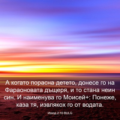 Picture 03 - Изход 2:10 BULG - А когато порасна детето, - Bible Verse Picture